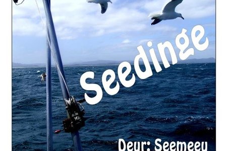 Seedinge  2_1
